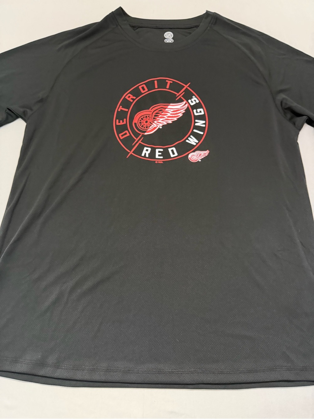NHL Detroit Red Wings Black and Red Graphic Tee